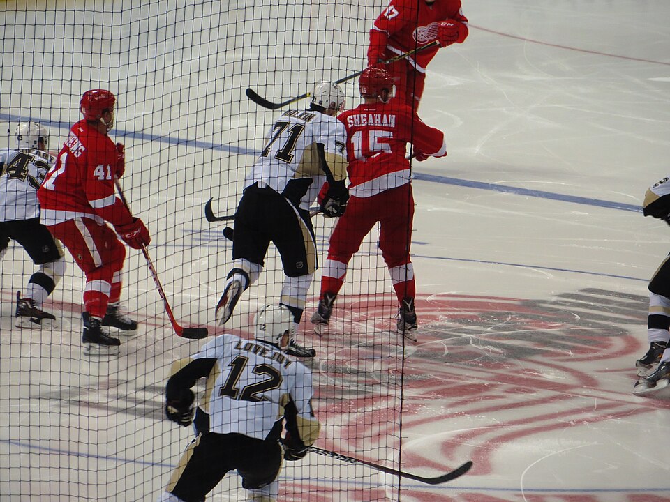 Illustration: 10-Day Progressive Stick Handling Program