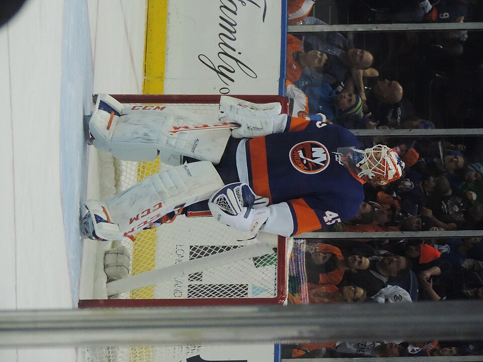 Illustration: Essential Hockey Goalie Equipment: What You Need to Play Safely