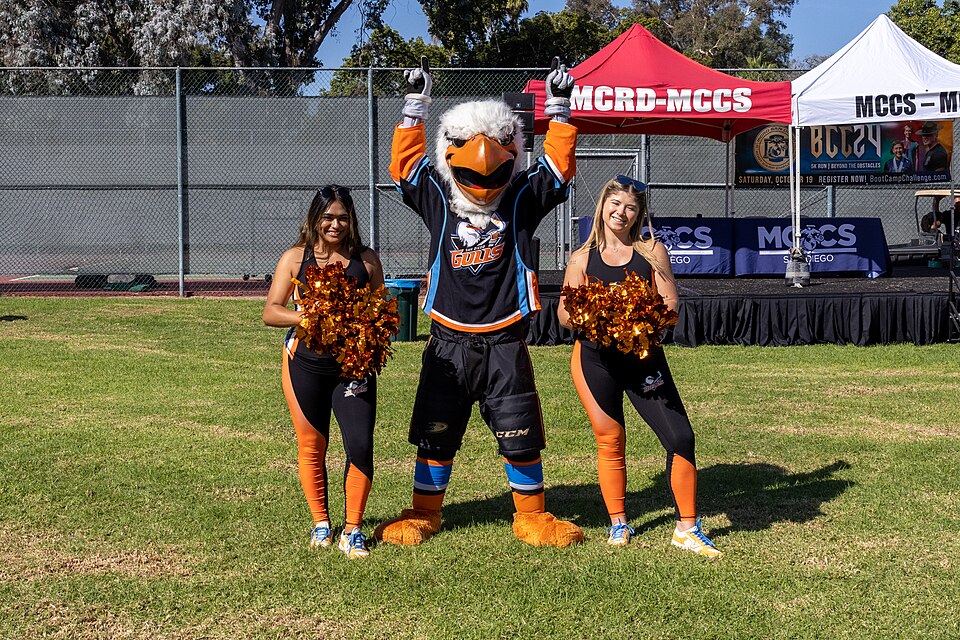 Illustration: Frequently Asked Questions About Hockey Drills