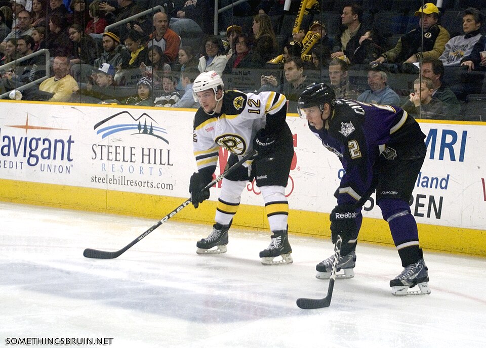 Illustration: How to Analyze Hockey Games Using Advanced Statistics