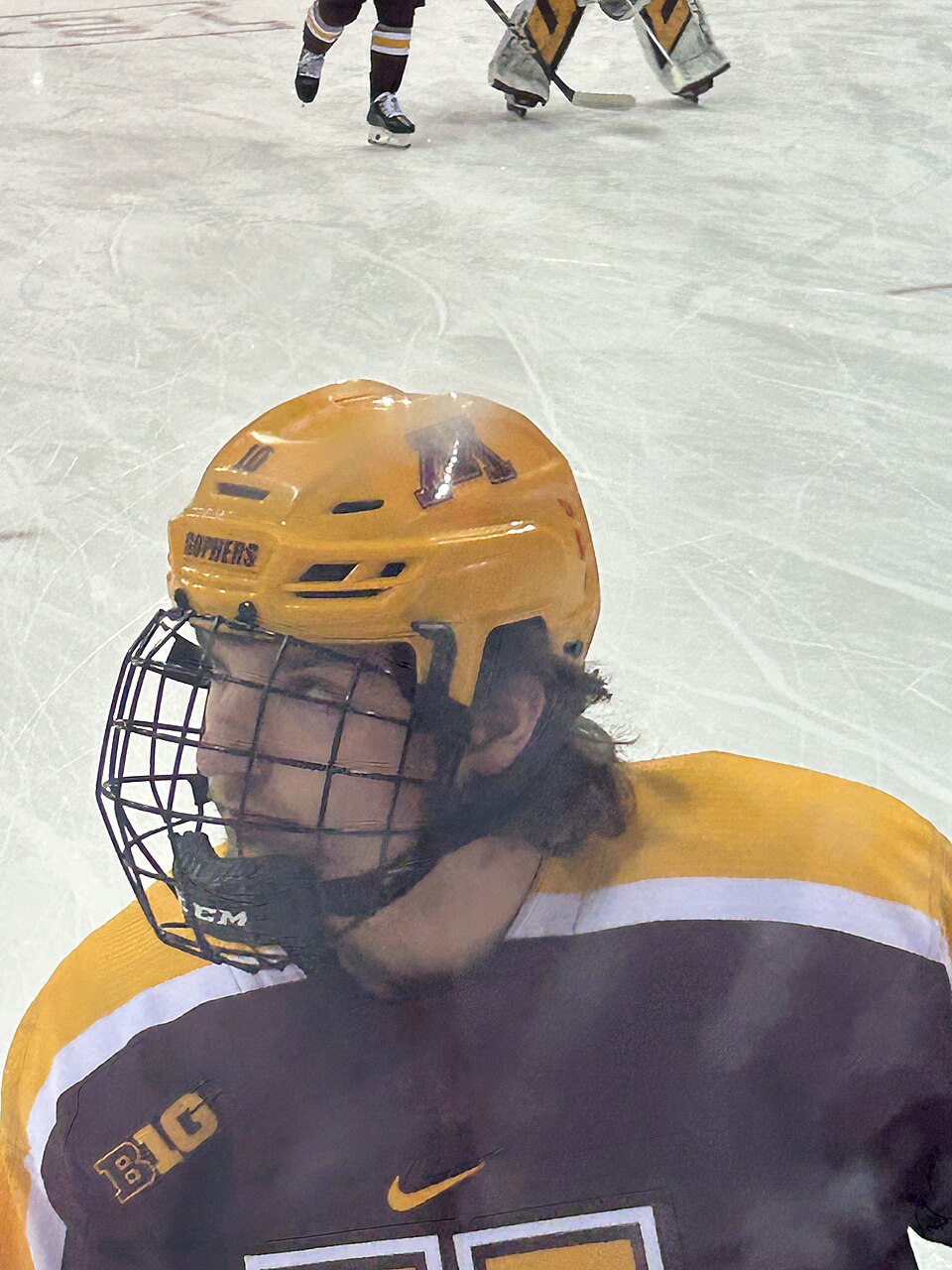 Illustration: What Advanced Ice Hockey Training Methods Are Elite Players Using in 2026?